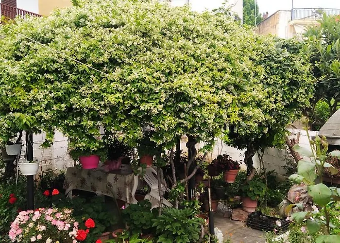 George\'S Apartment Serres